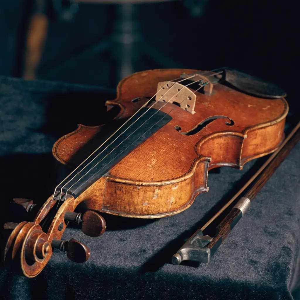 Violons