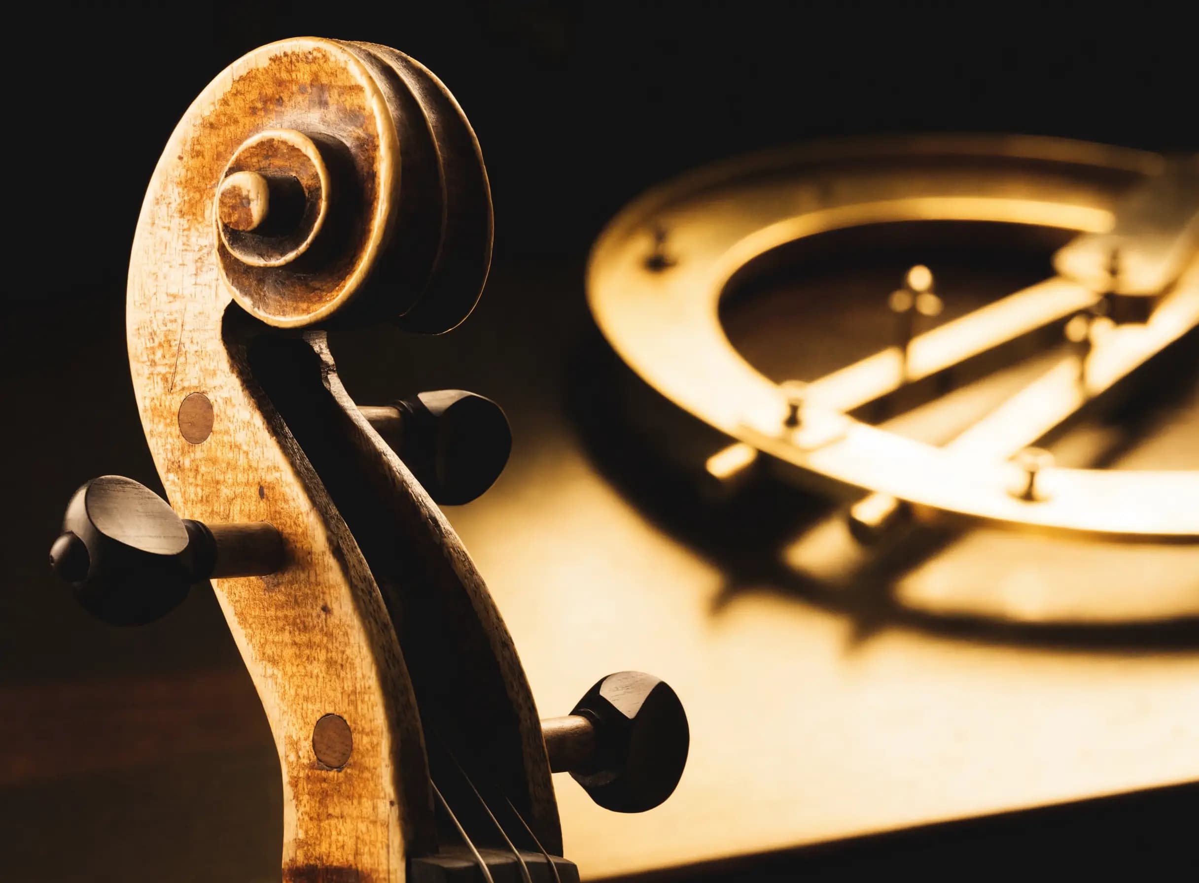 Expertise instruments